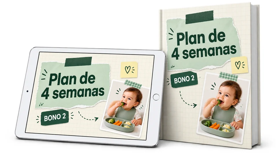 Plan de 4 semanas de alimentación